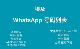 埃及 Whatsapp 号码列表