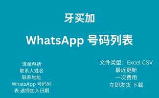 牙买加 Whatsapp 号码列表